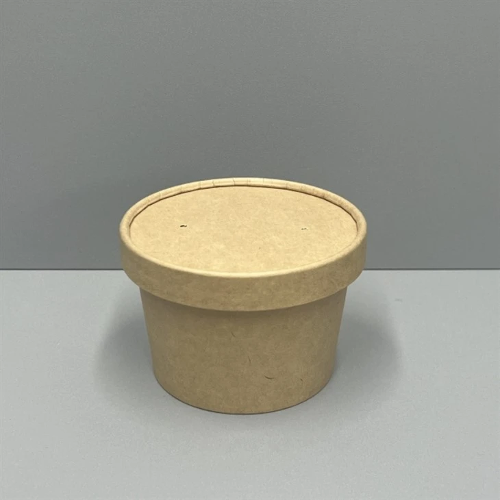 8oz Disposable Containers With Lids
